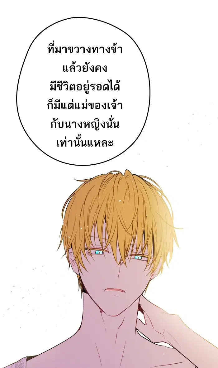 หน้า 52 จาก 66