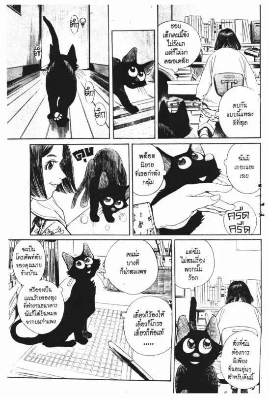 หน้า 22 จาก 24
