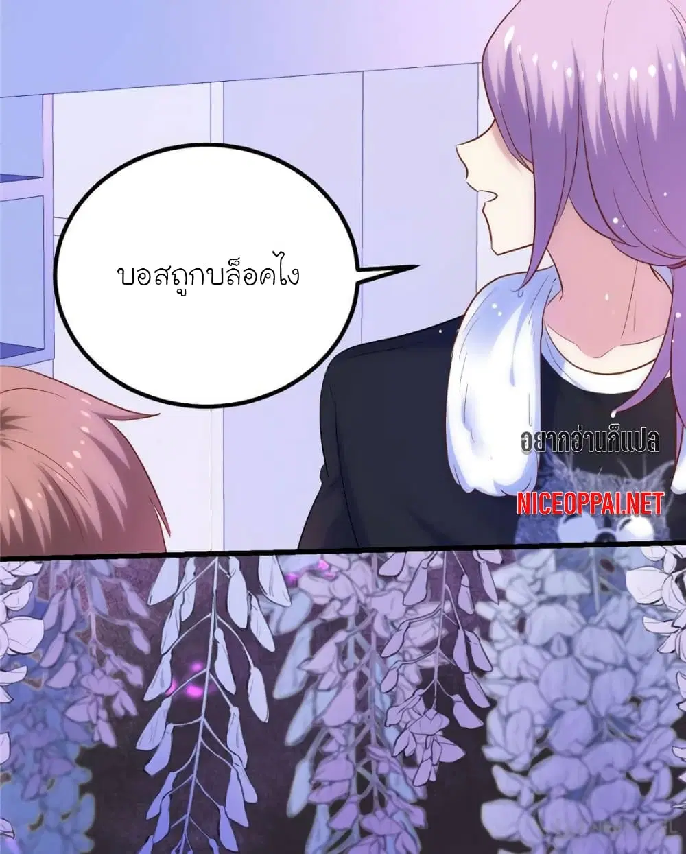 หน้า 46 จาก 85