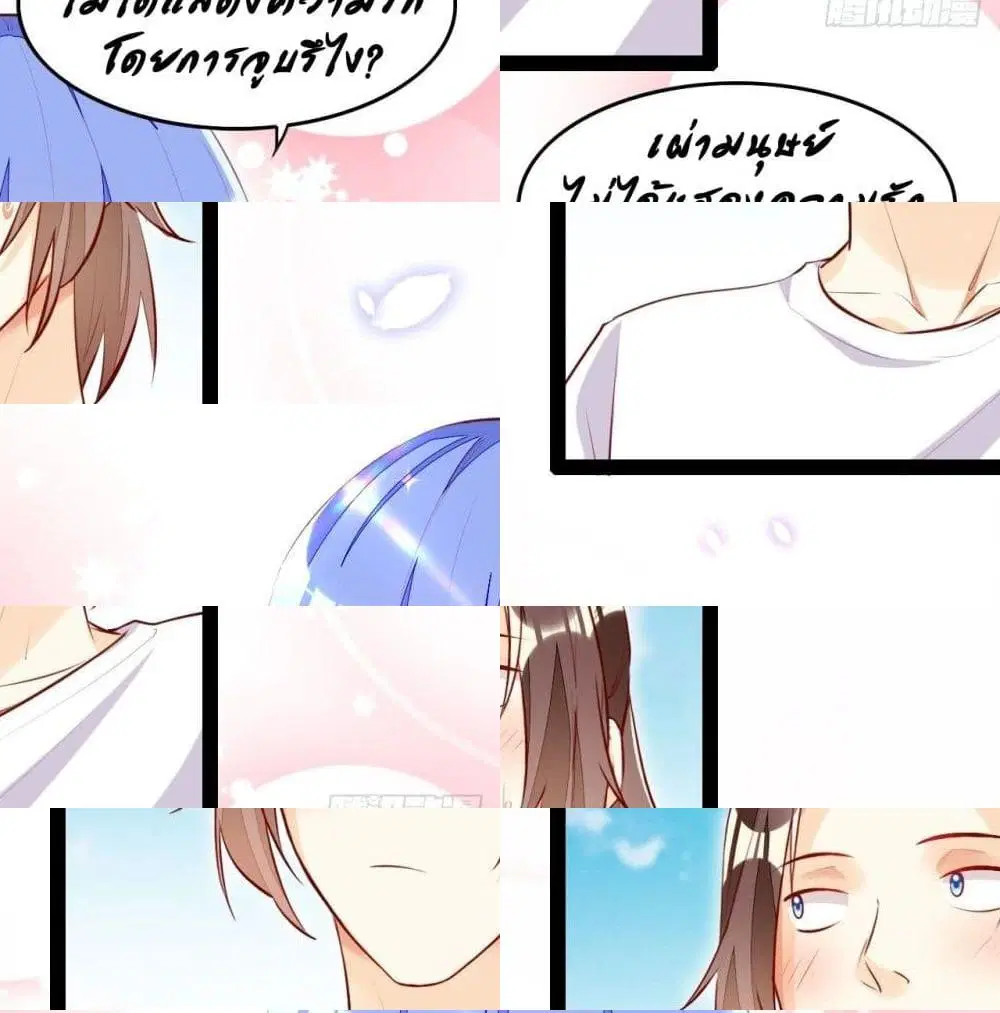 หน้า 7 จาก 13