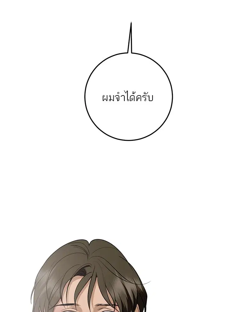 หน้า 146 จาก 163