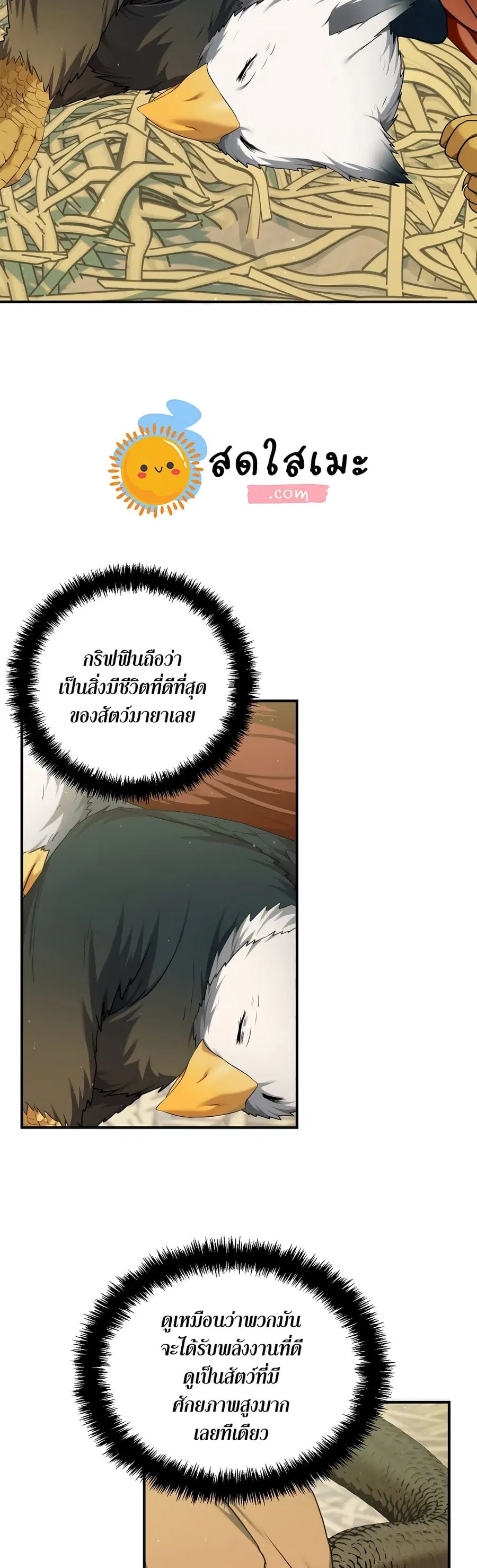 หน้า 17 จาก 43