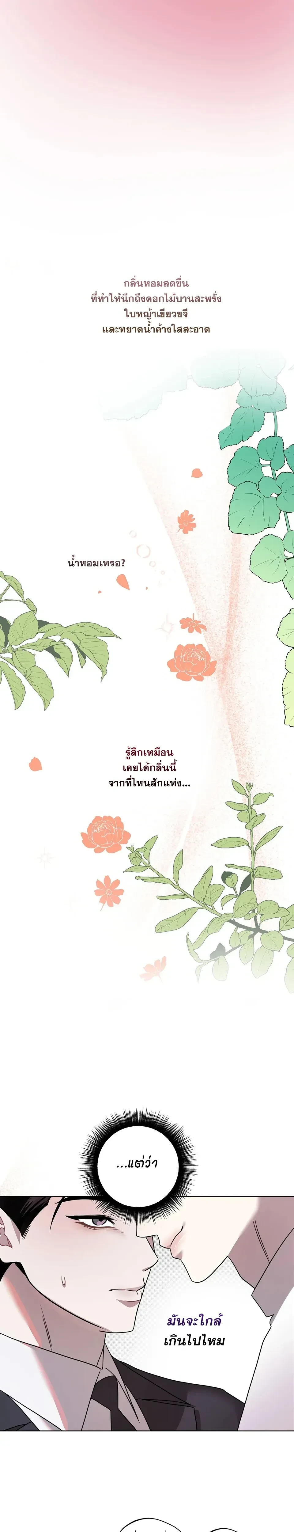 หน้า 13 จาก 24