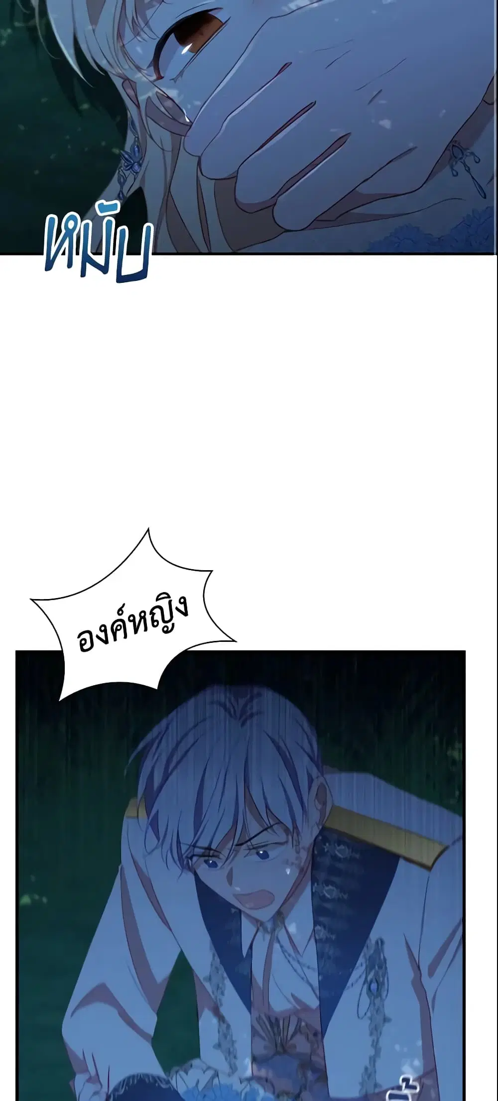 หน้า 28 จาก 51