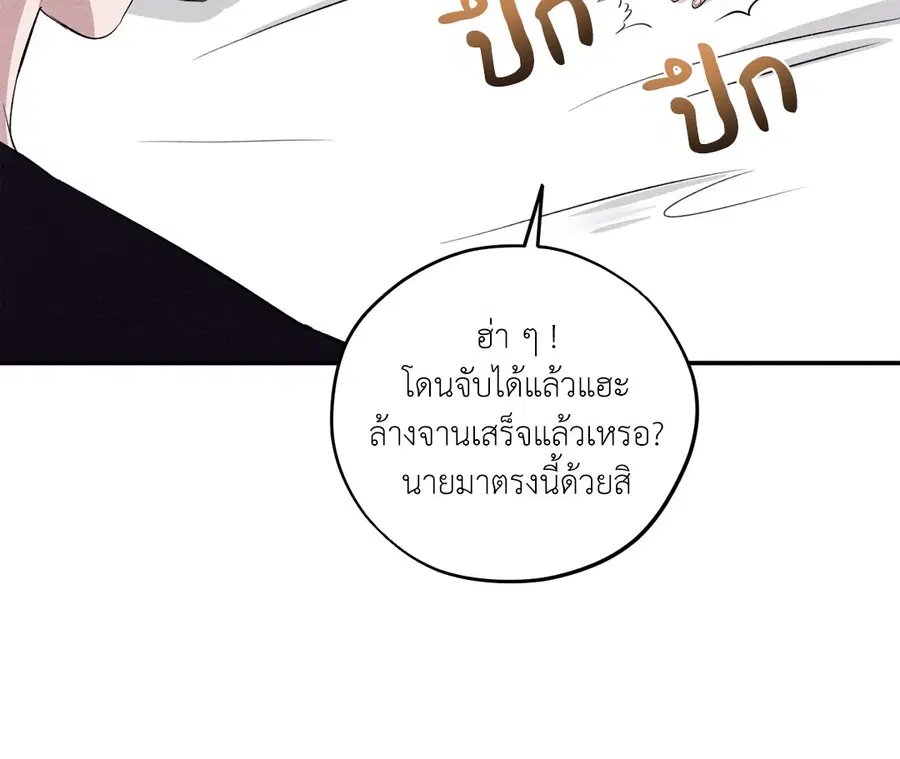 หน้า 49 จาก 81