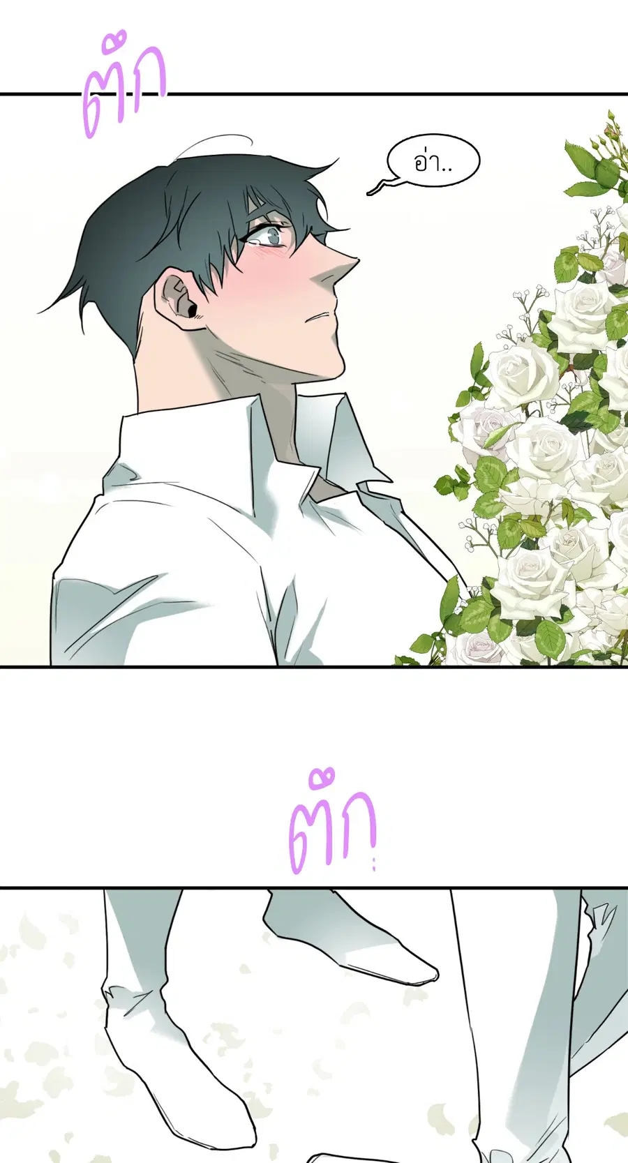 หน้า 5 จาก 58