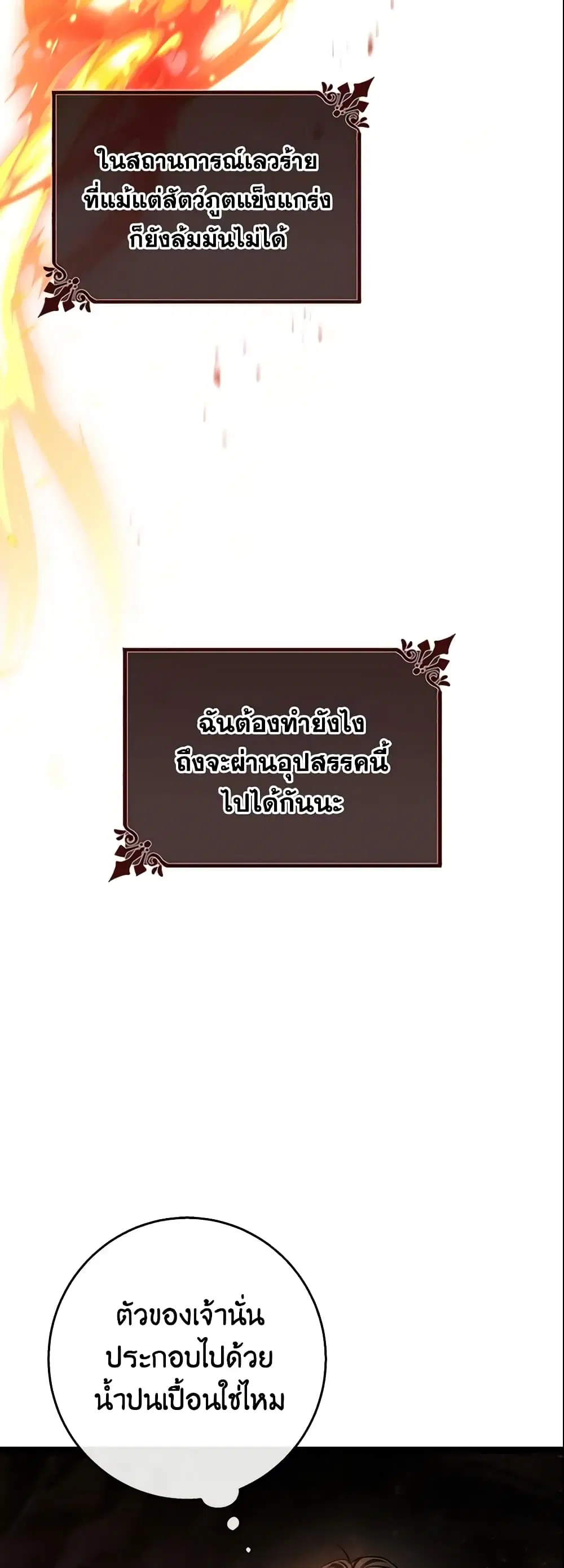 หน้า 17 จาก 49