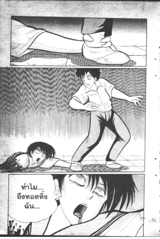 หน้า 8 จาก 12