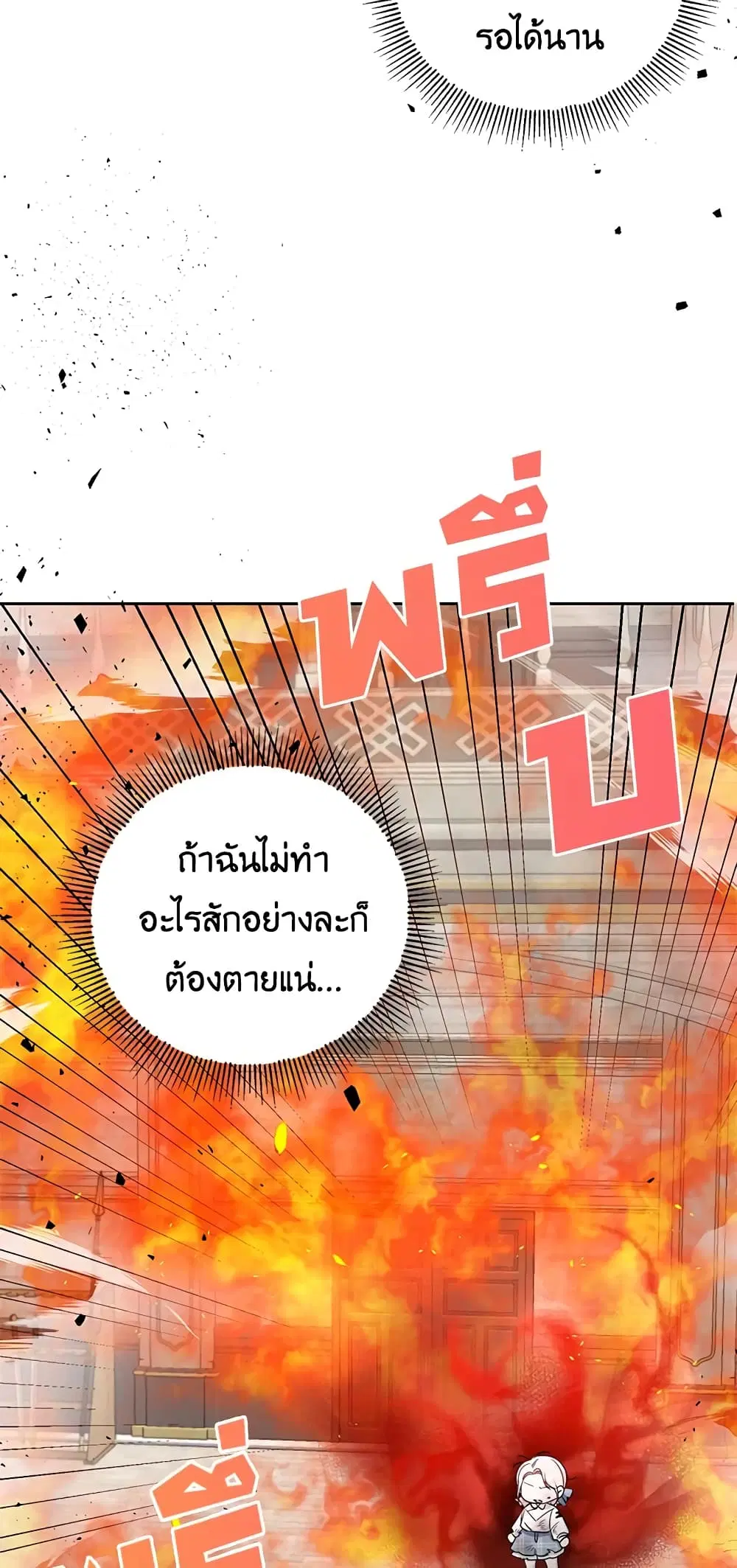 หน้า 22 จาก 50