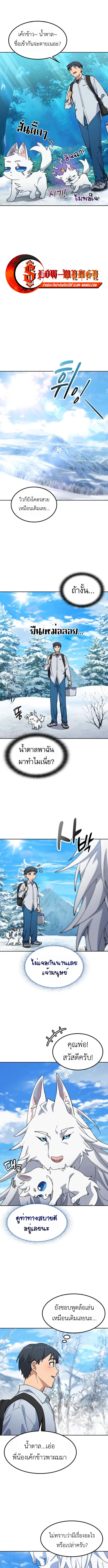หน้า 5 จาก 13