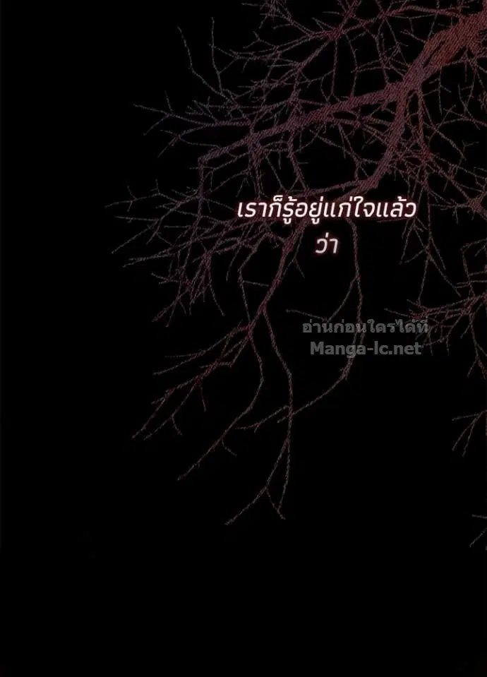 หน้า 31 จาก 144