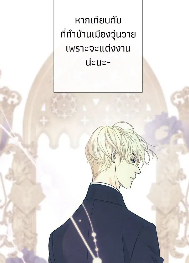 หน้า 109 จาก 164