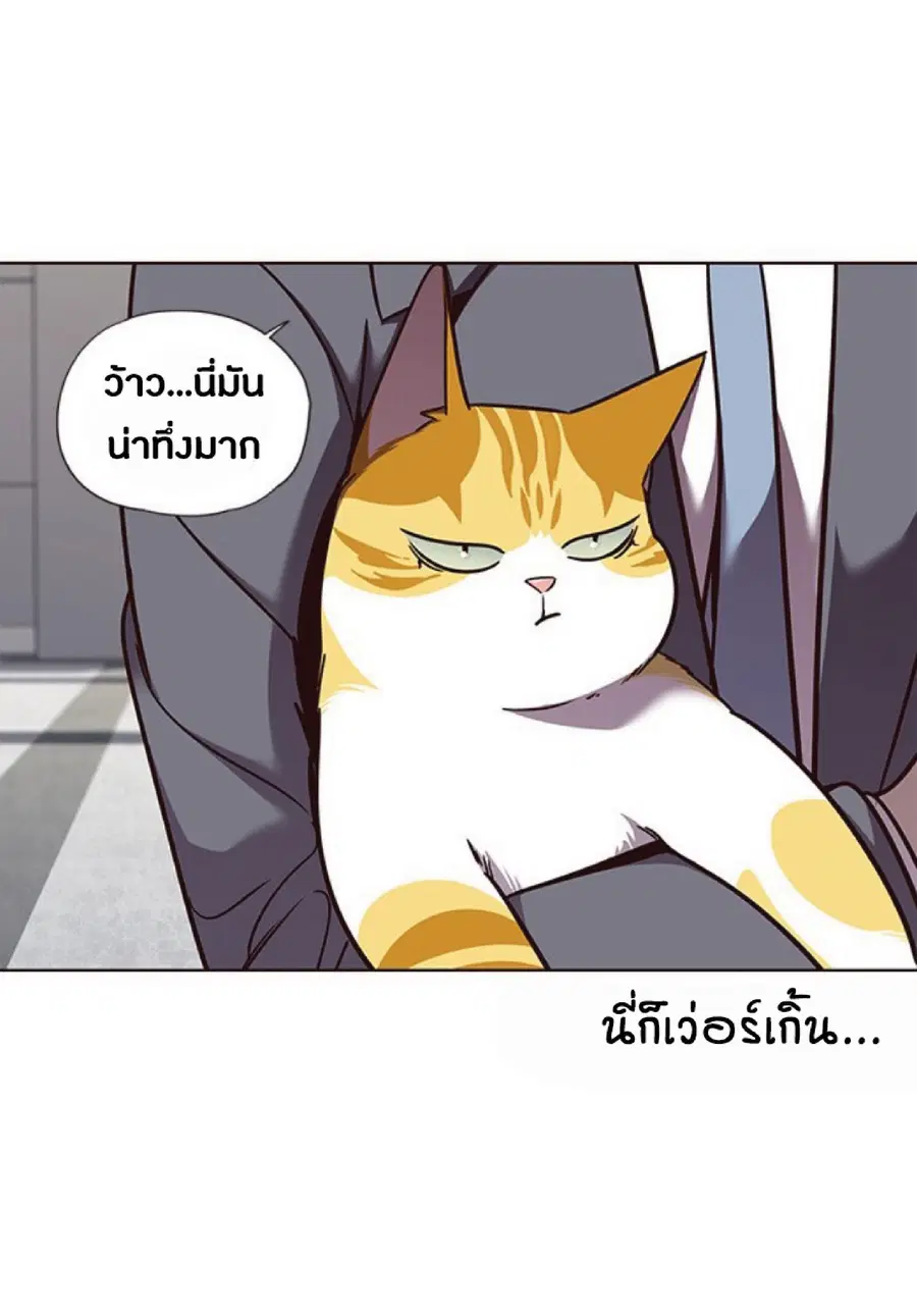 หน้า 25 จาก 81