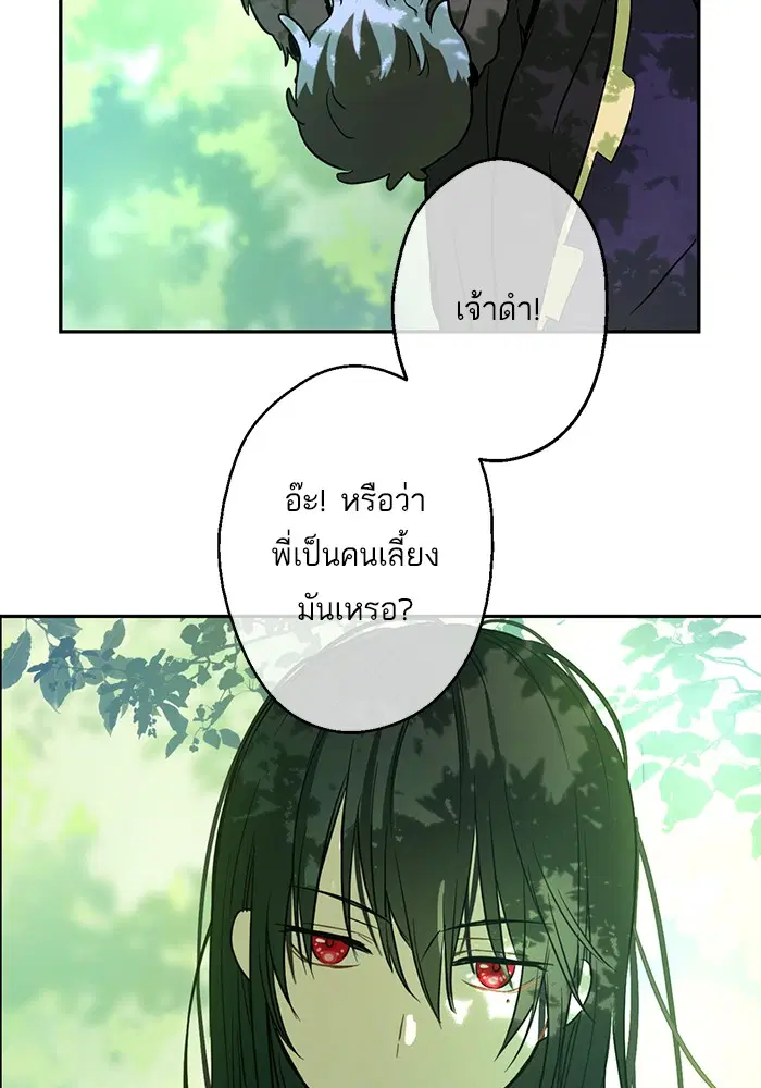 หน้า 16 จาก 96