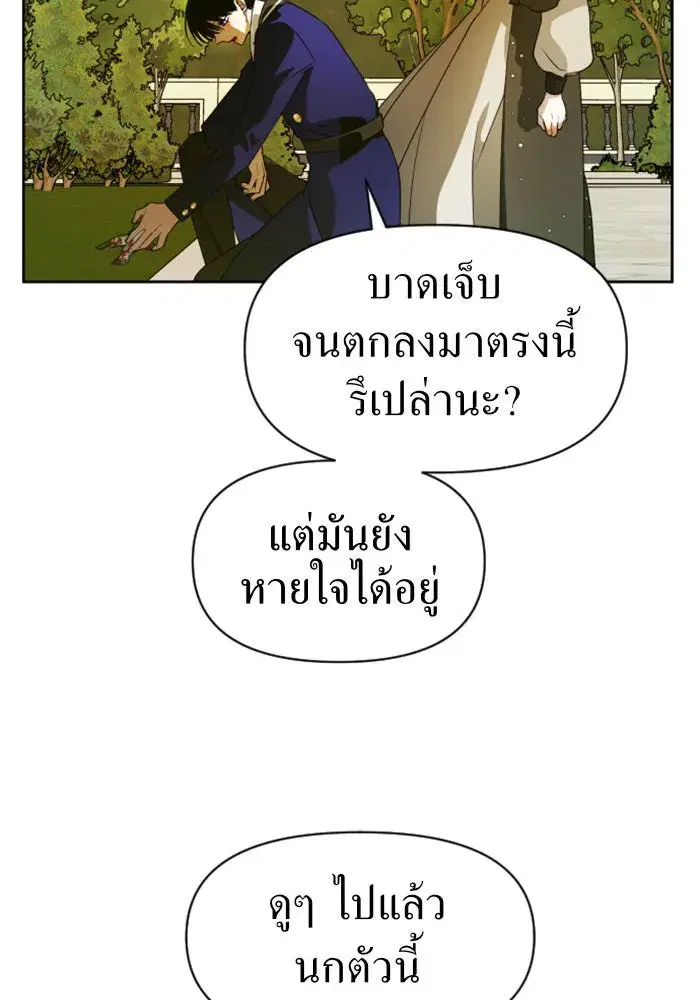 หน้า 91 จาก 145