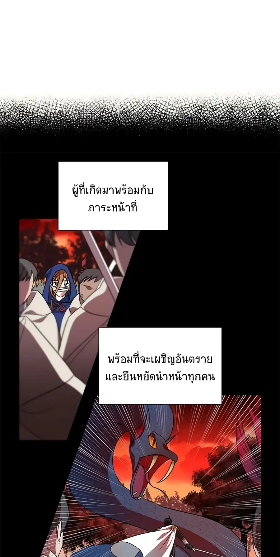 หน้า 17 จาก 40