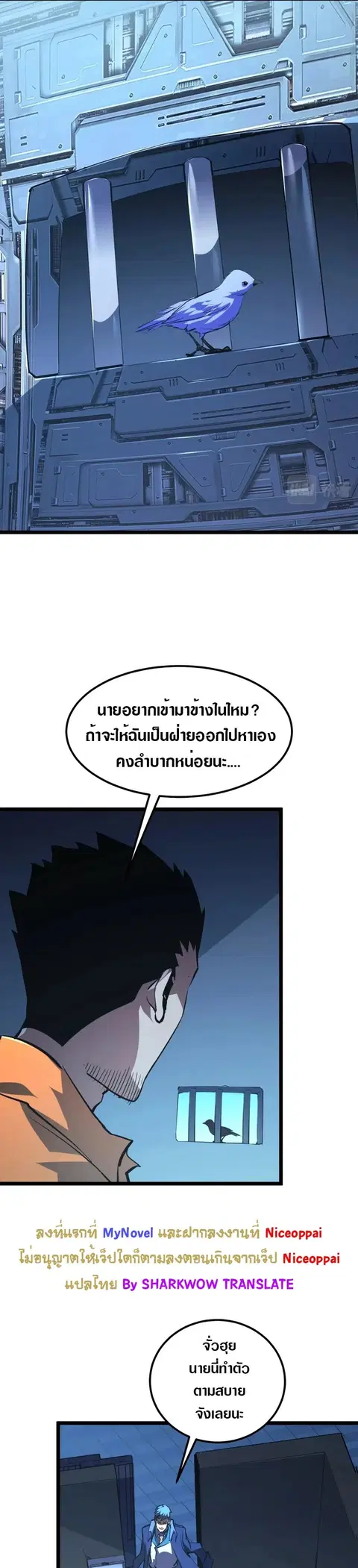 หน้า 22 จาก 27