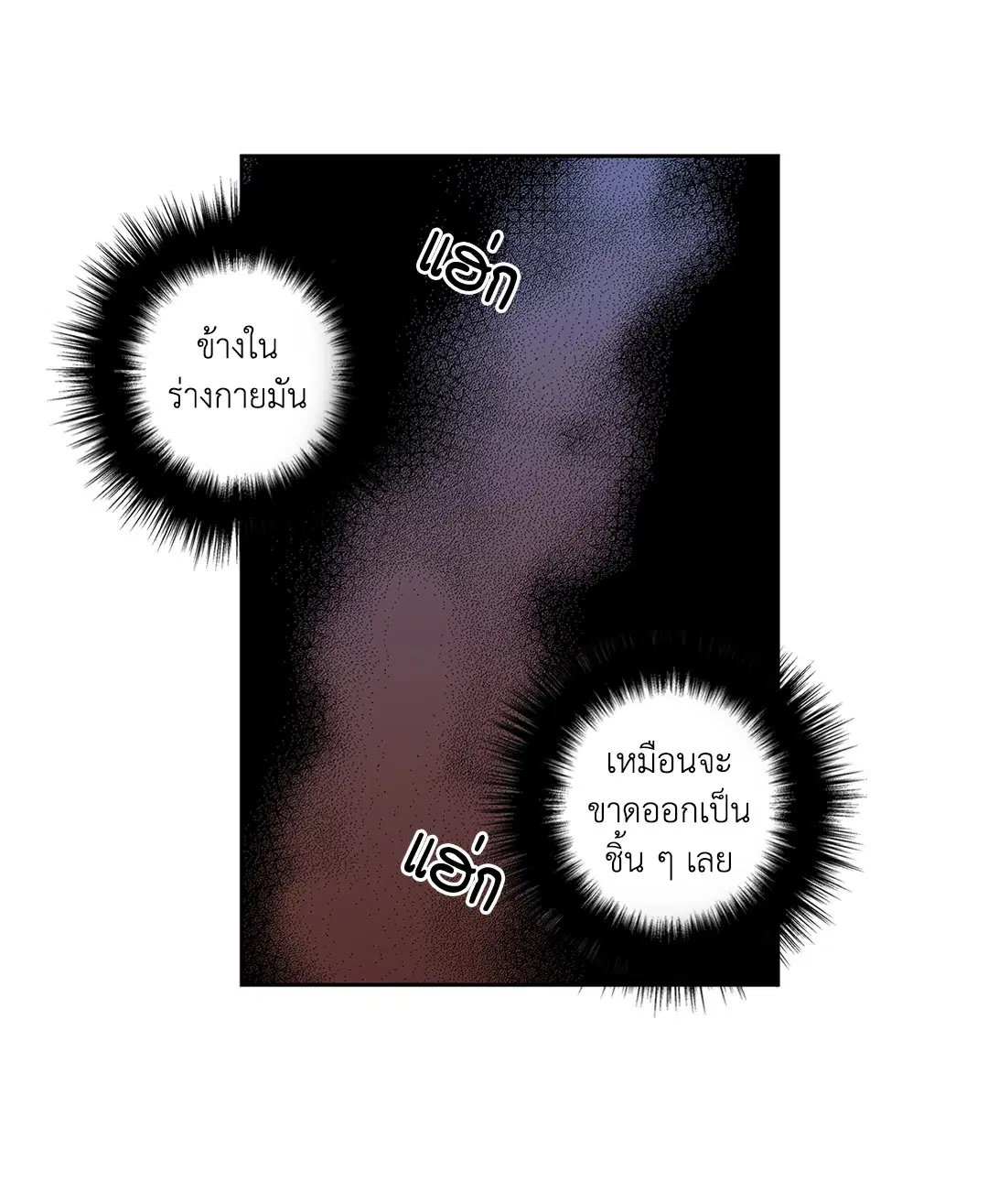 หน้า 37 จาก 55
