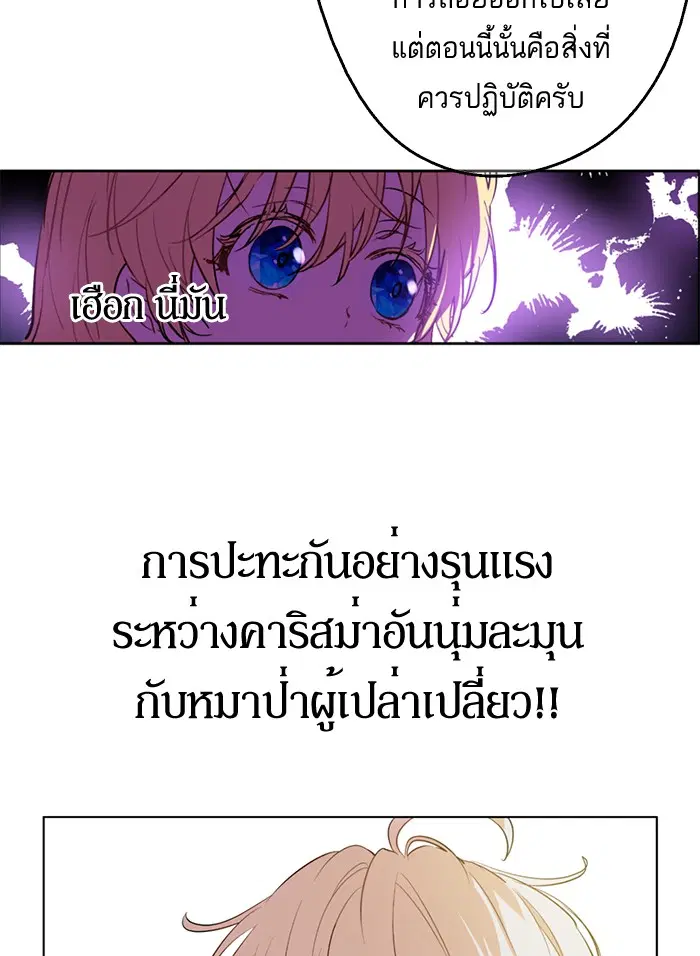 หน้า 27 จาก 77