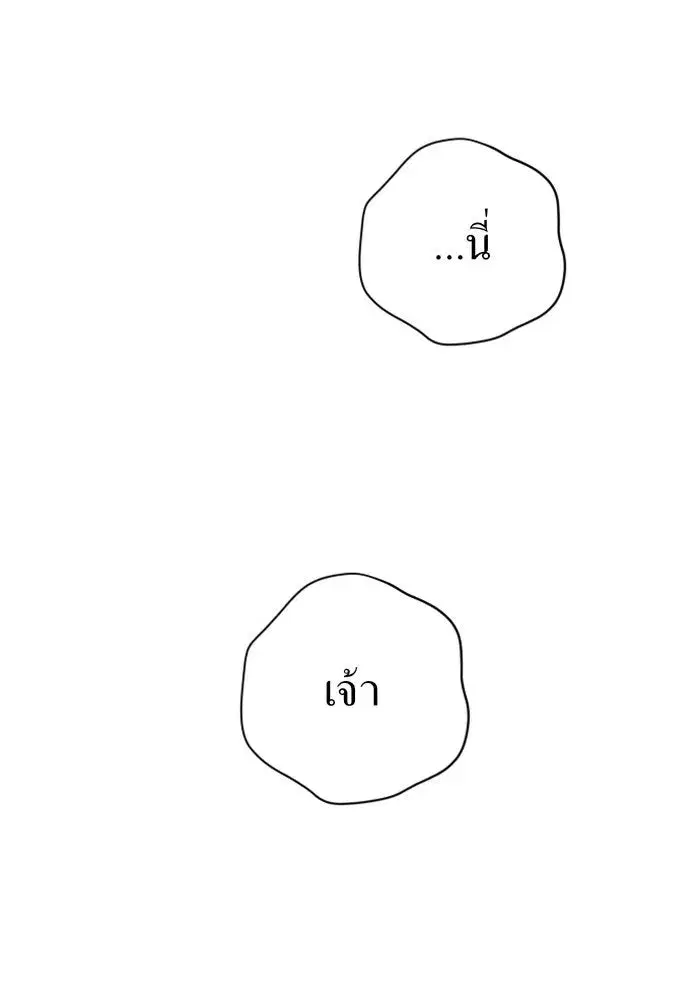 หน้า 146 จาก 151
