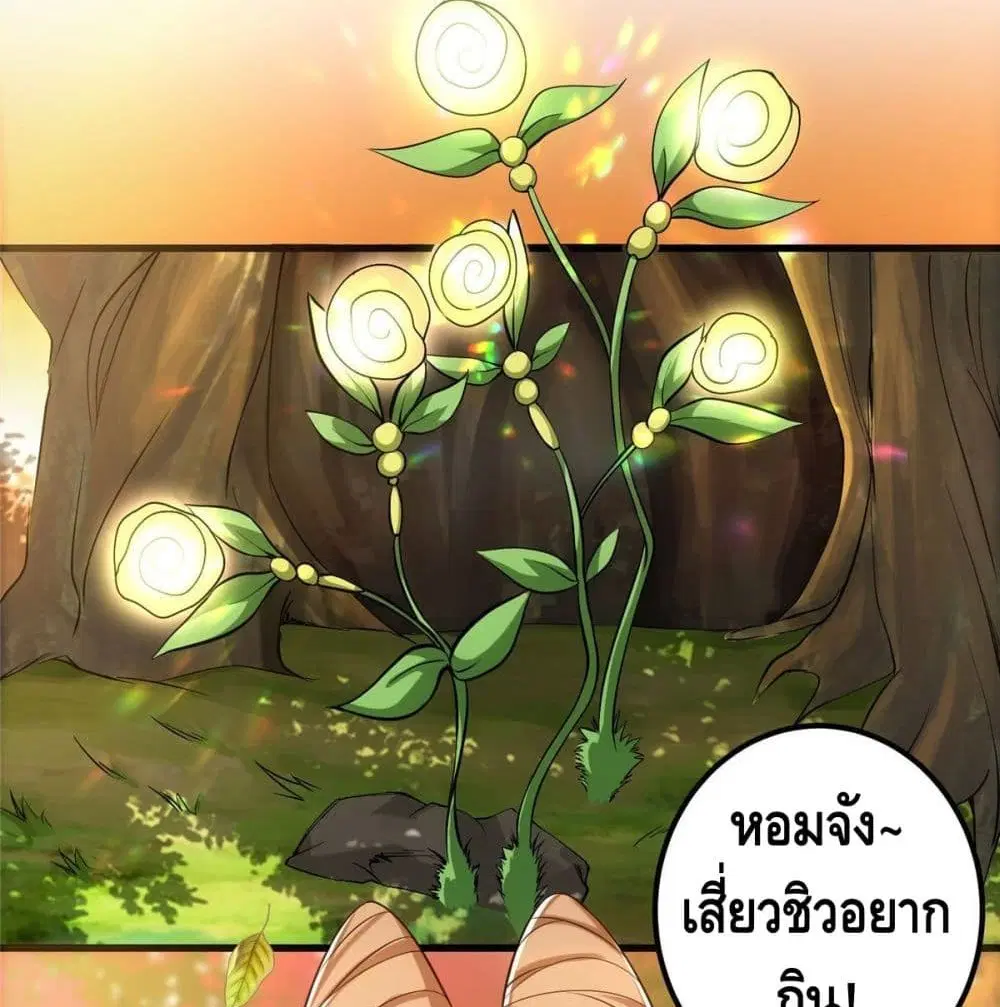 หน้า 71 จาก 84