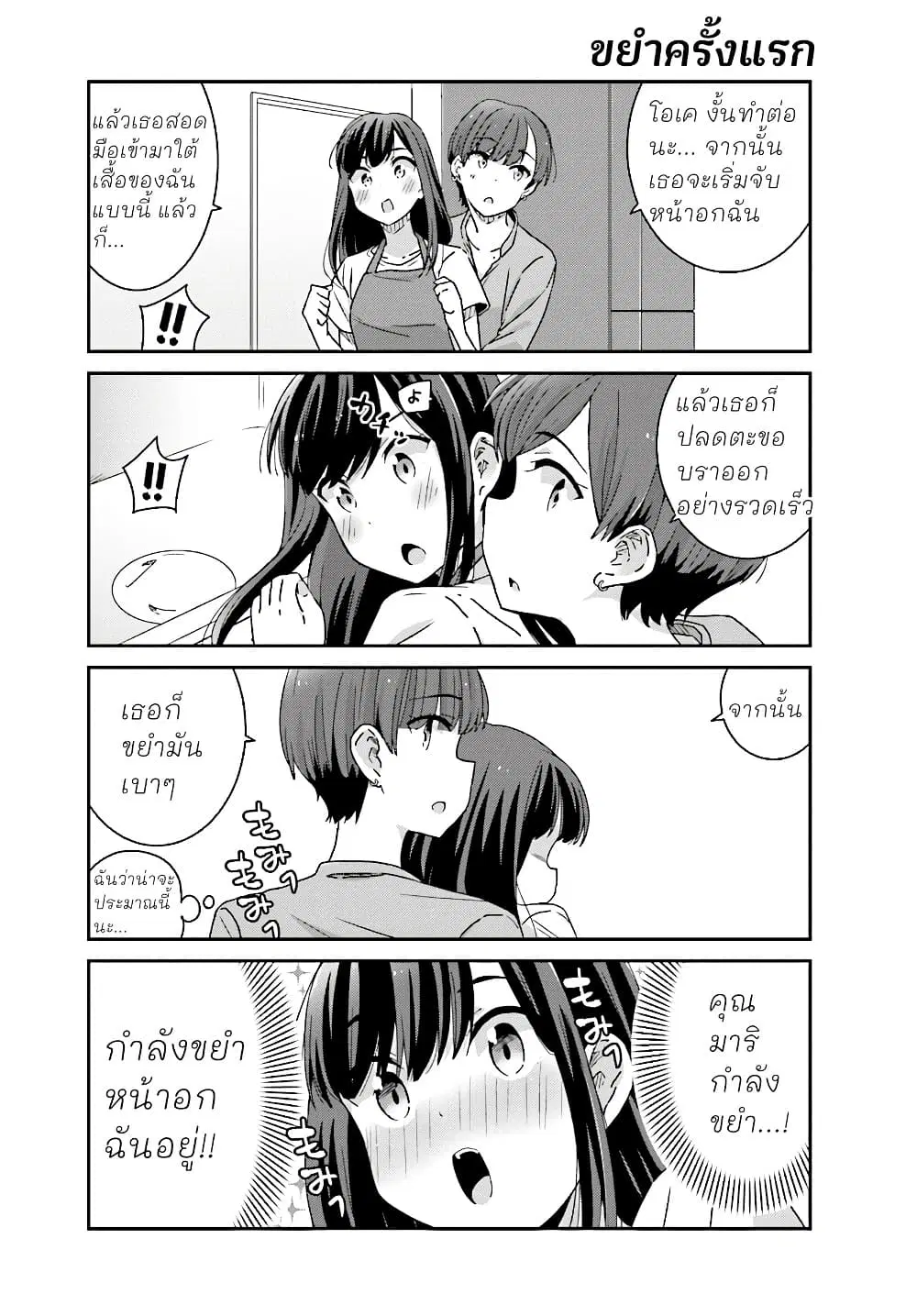 หน้า 13 จาก 17