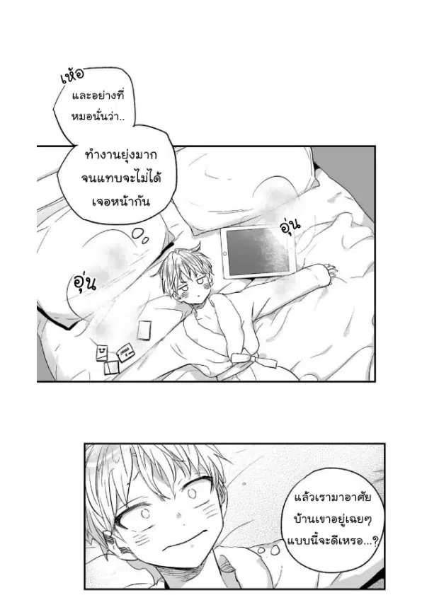 หน้า 17 จาก 38
