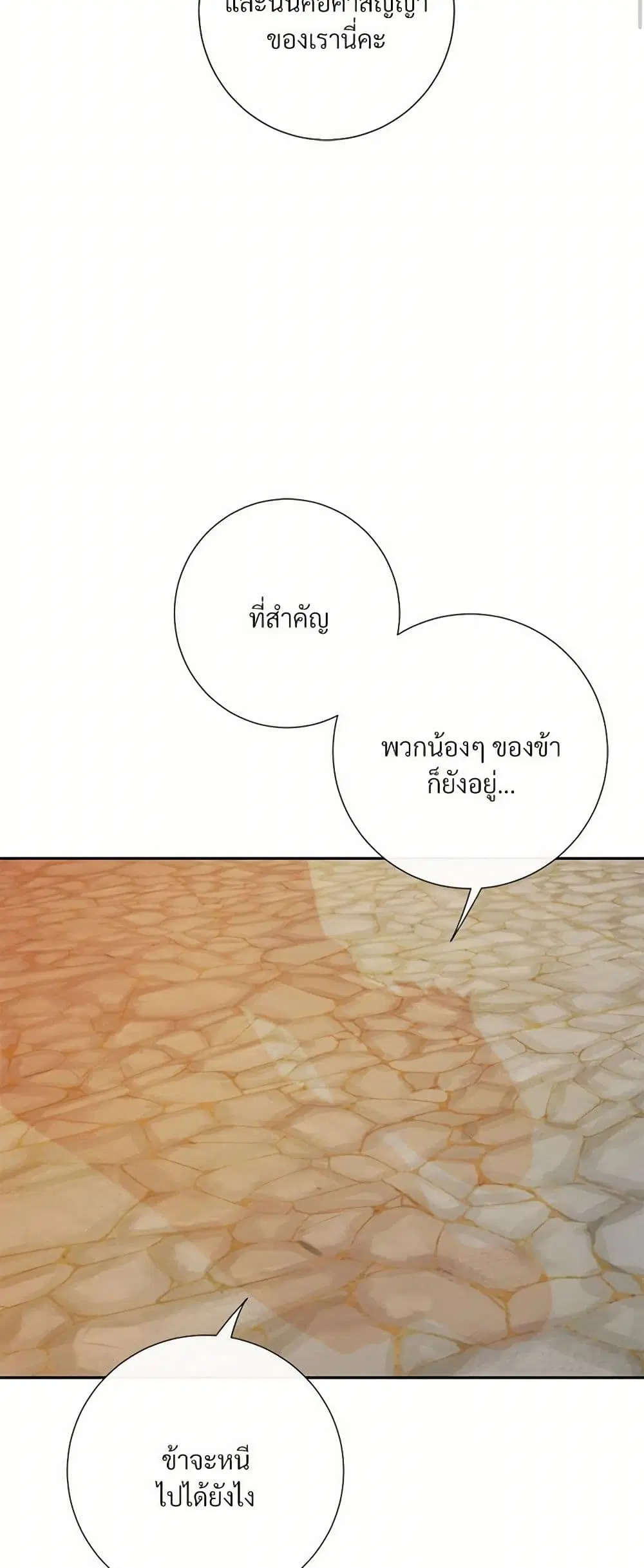 หน้า 9 จาก 30