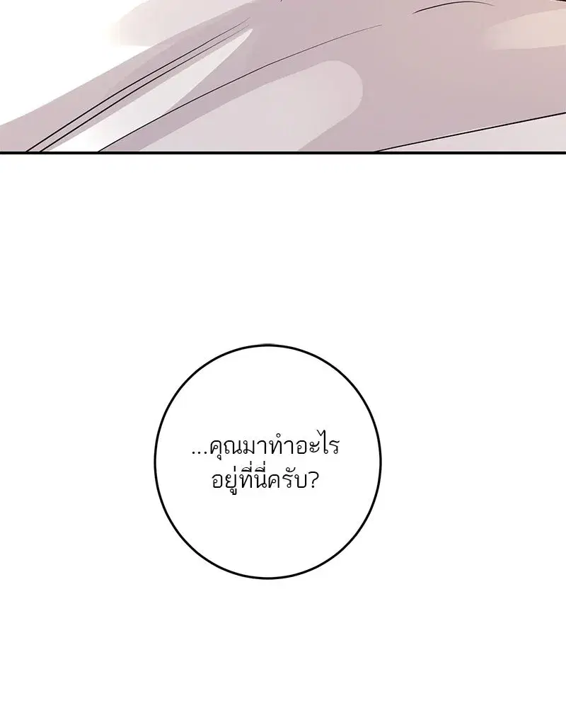 หน้า 4 จาก 151
