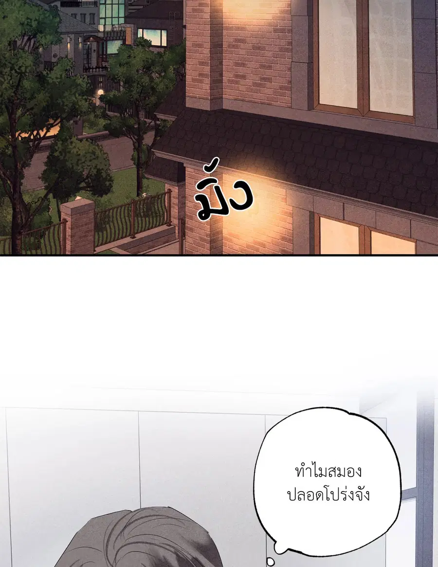หน้า 82 จาก 102