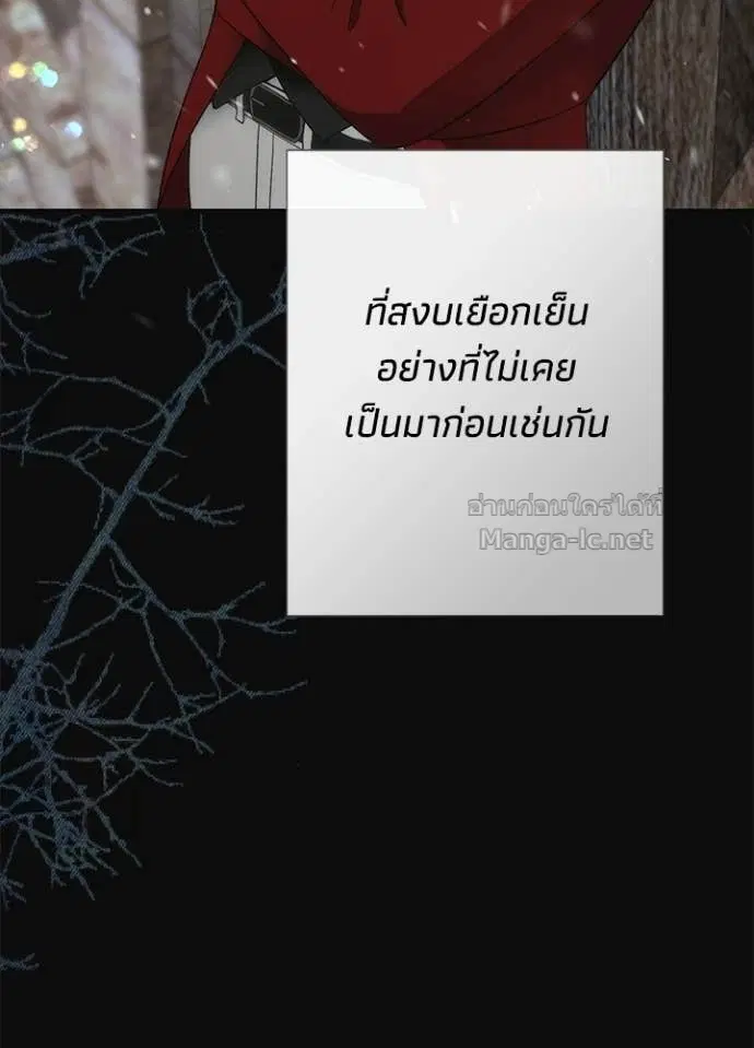 หน้า 47 จาก 126