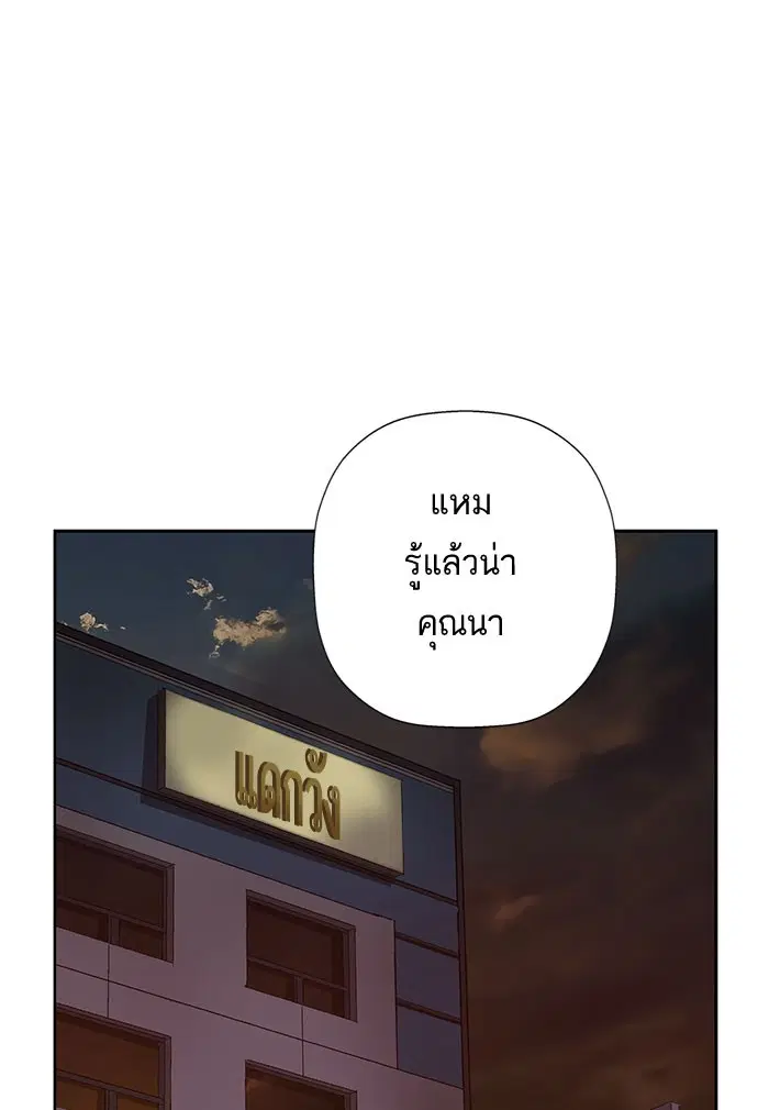 หน้า 38 จาก 111