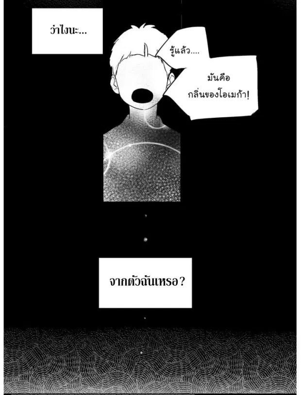 หน้า 11 จาก 39