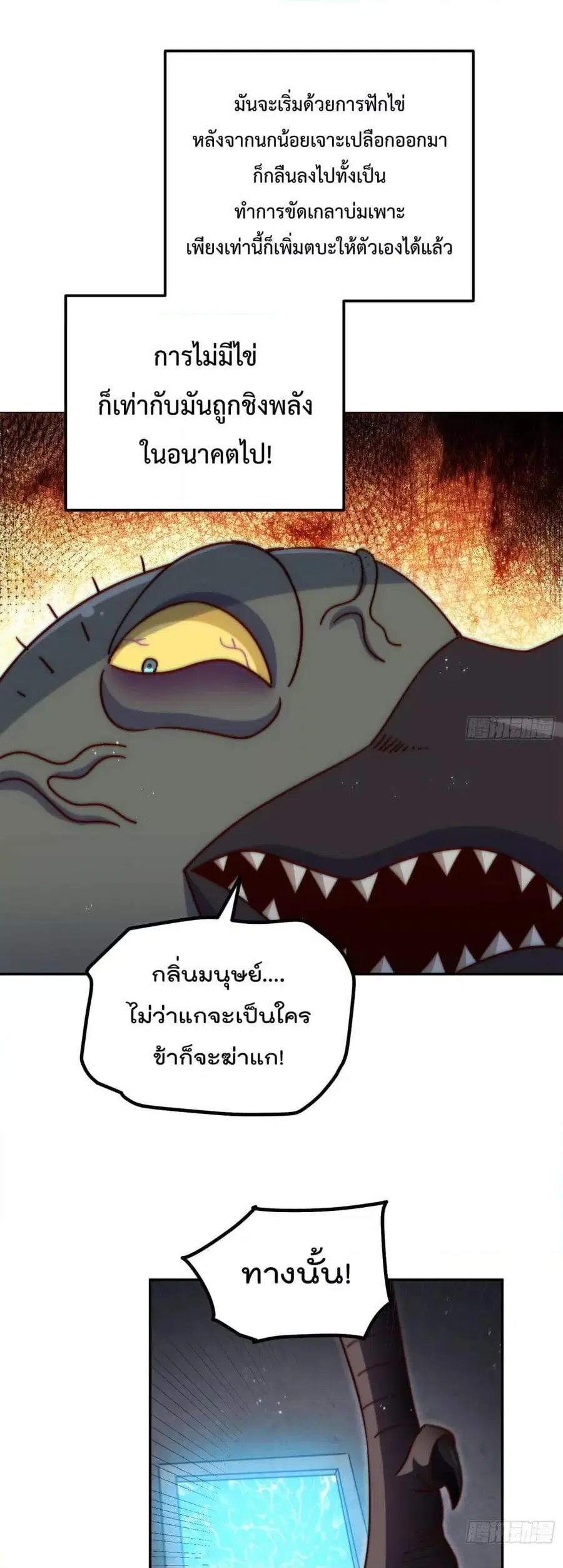 หน้า 12 จาก 52