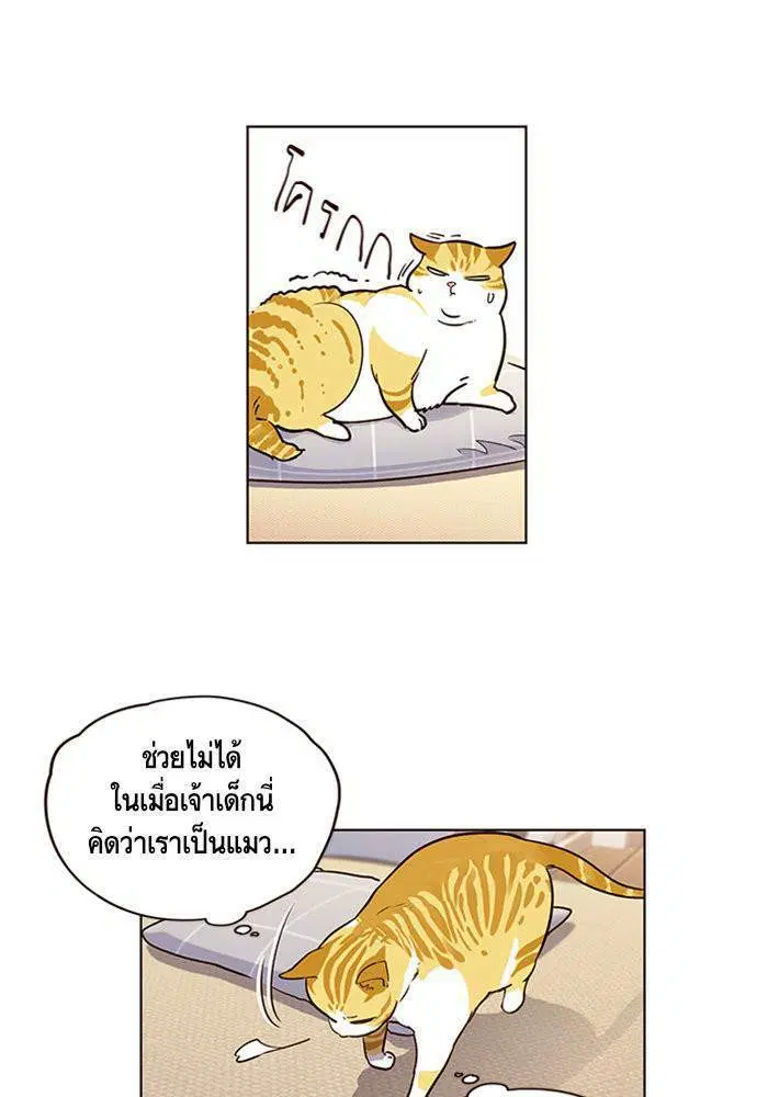 หน้า 34 จาก 59