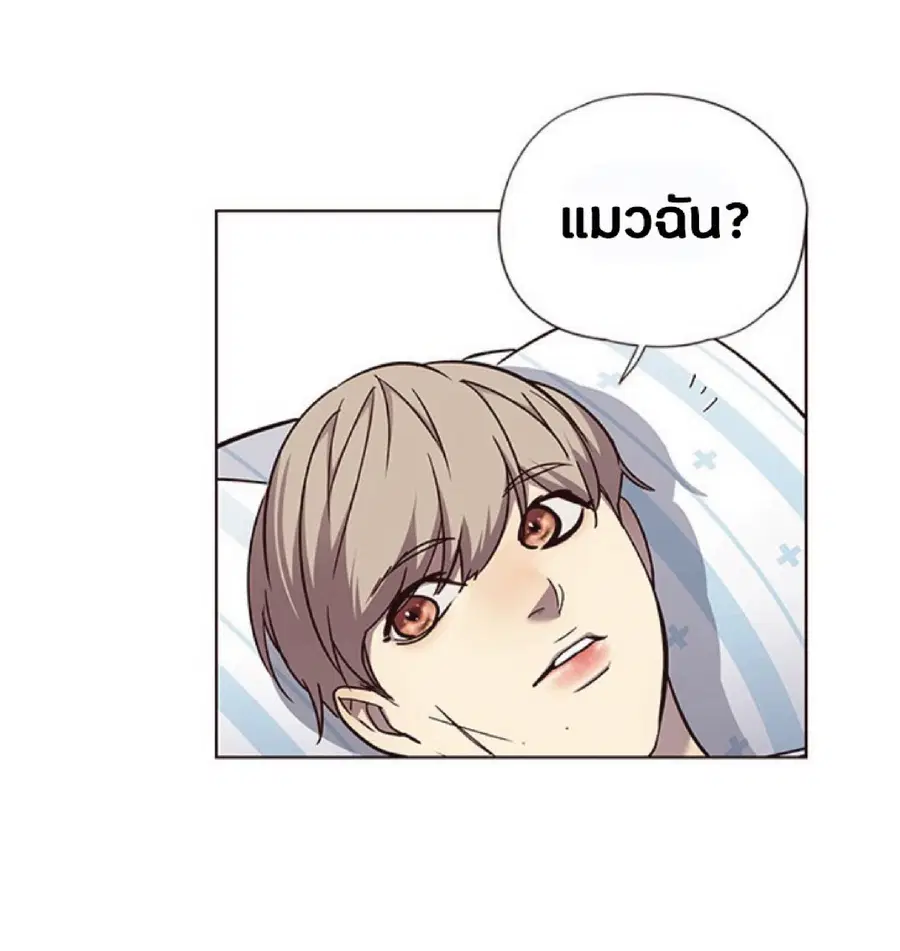 หน้า 40 จาก 76