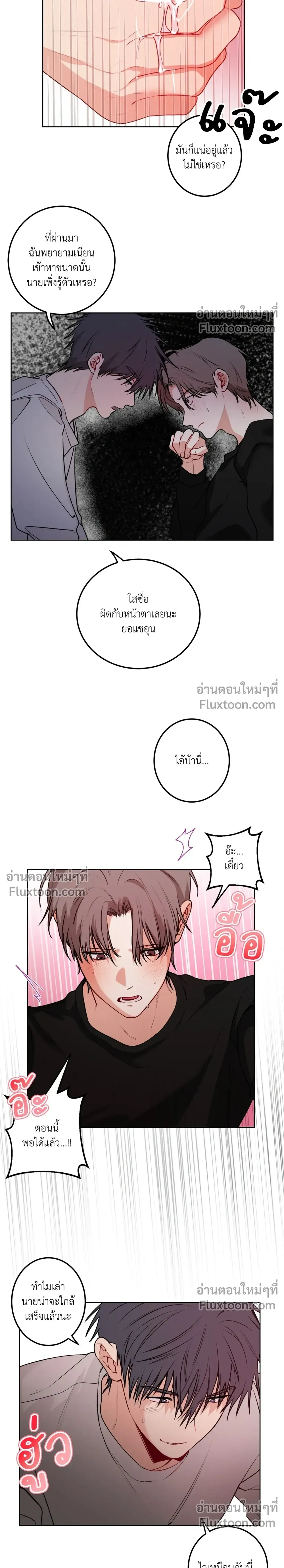 หน้า 17 จาก 19
