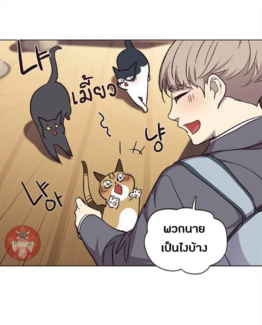 หน้า 20 จาก 80