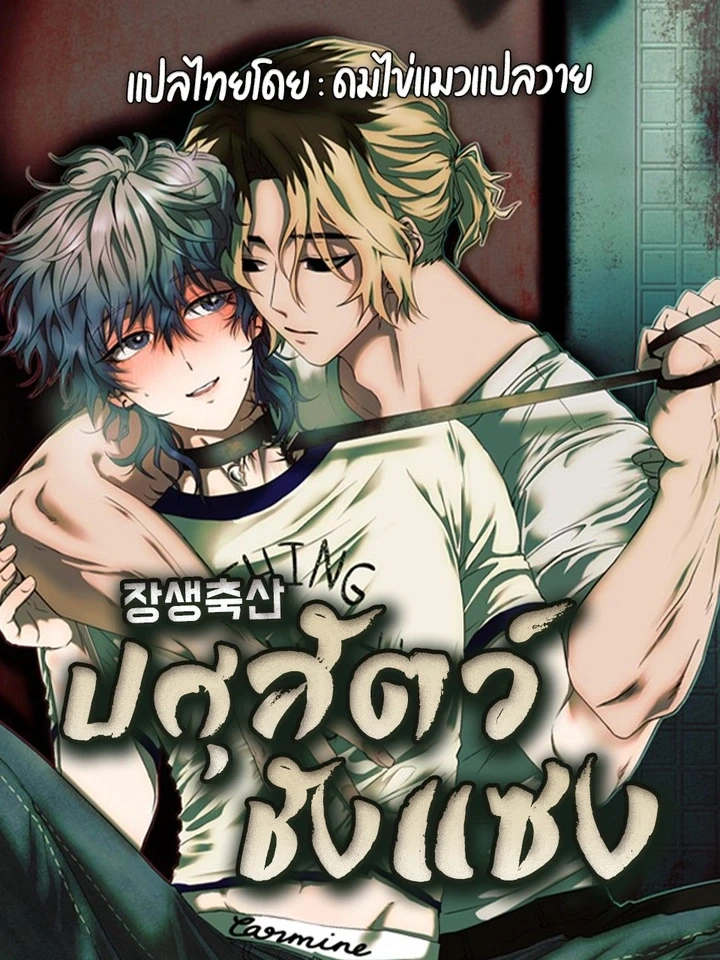 Jangsaeng – ปศุสัตว์ชังแซง