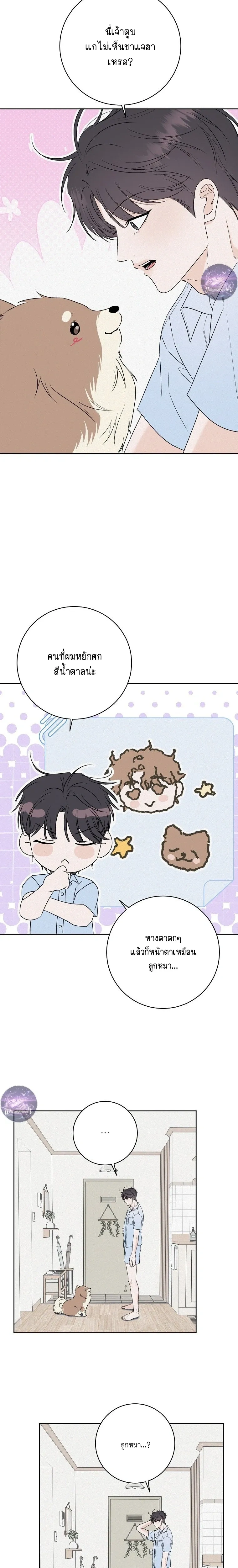 หน้า 5 จาก 22