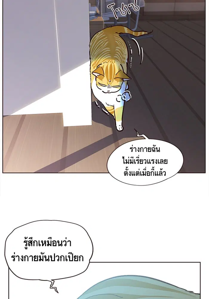 หน้า 24 จาก 111