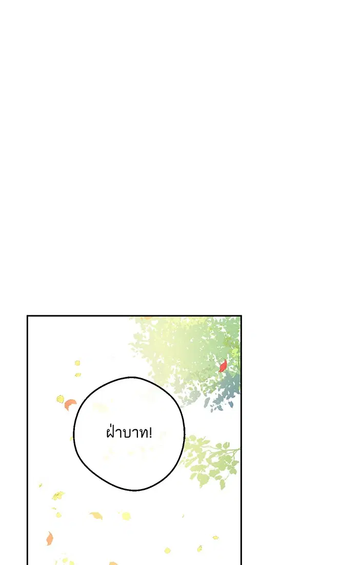 หน้า 31 จาก 74