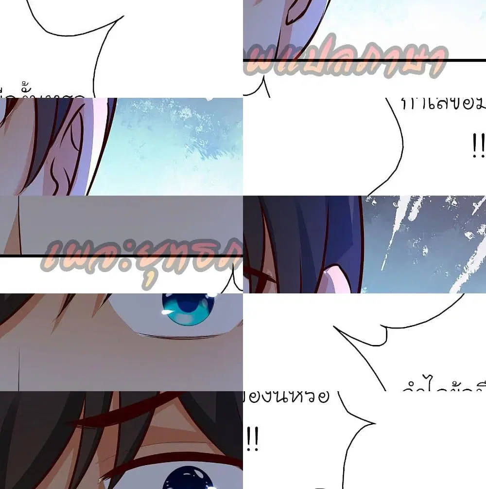 หน้า 4 จาก 14