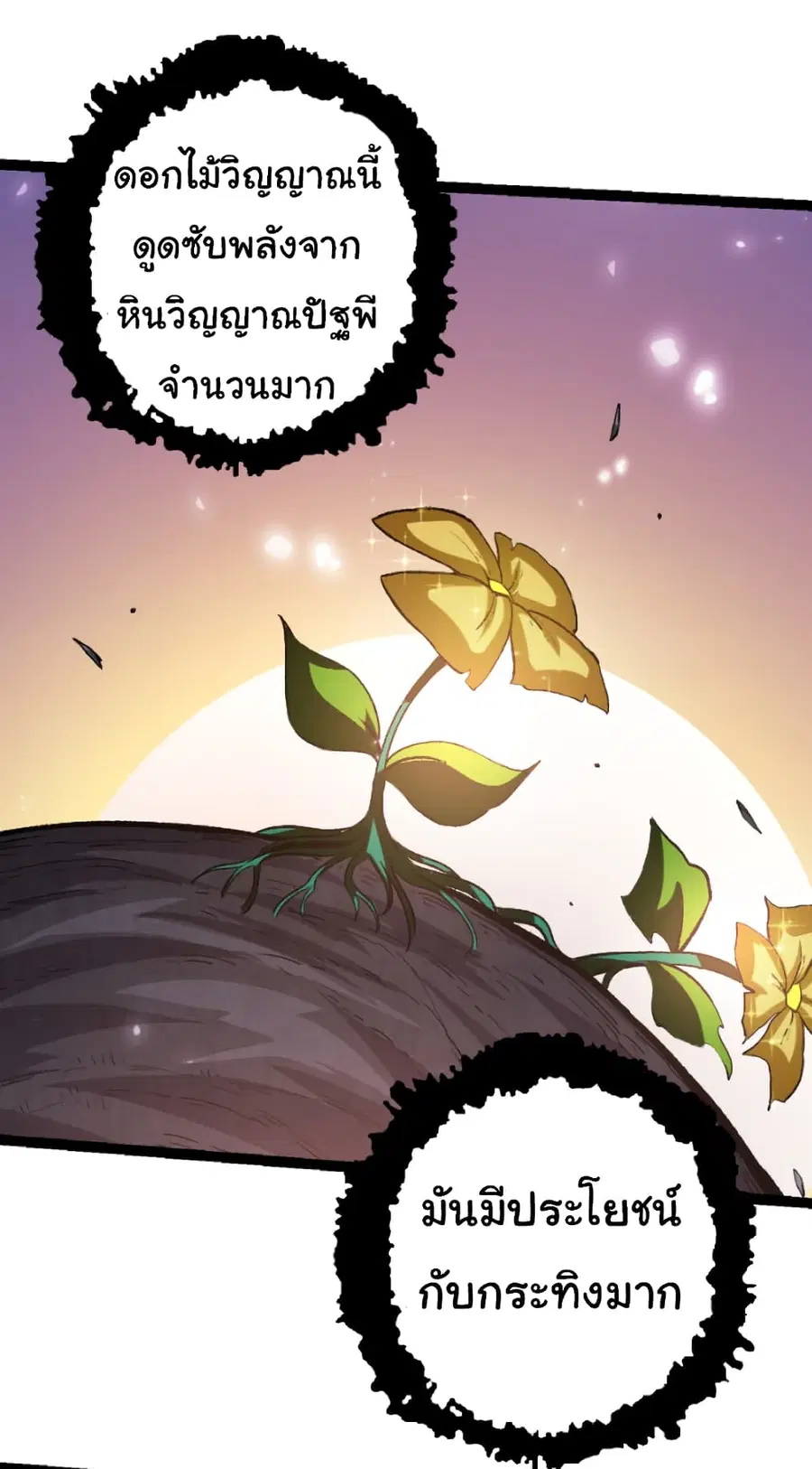 หน้า 28 จาก 52