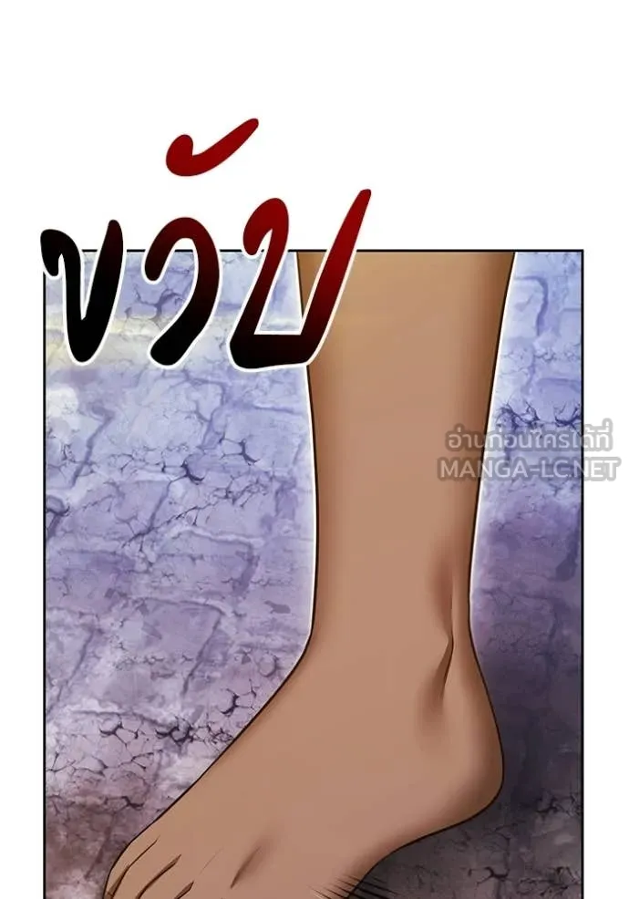 หน้า 252 จาก 426