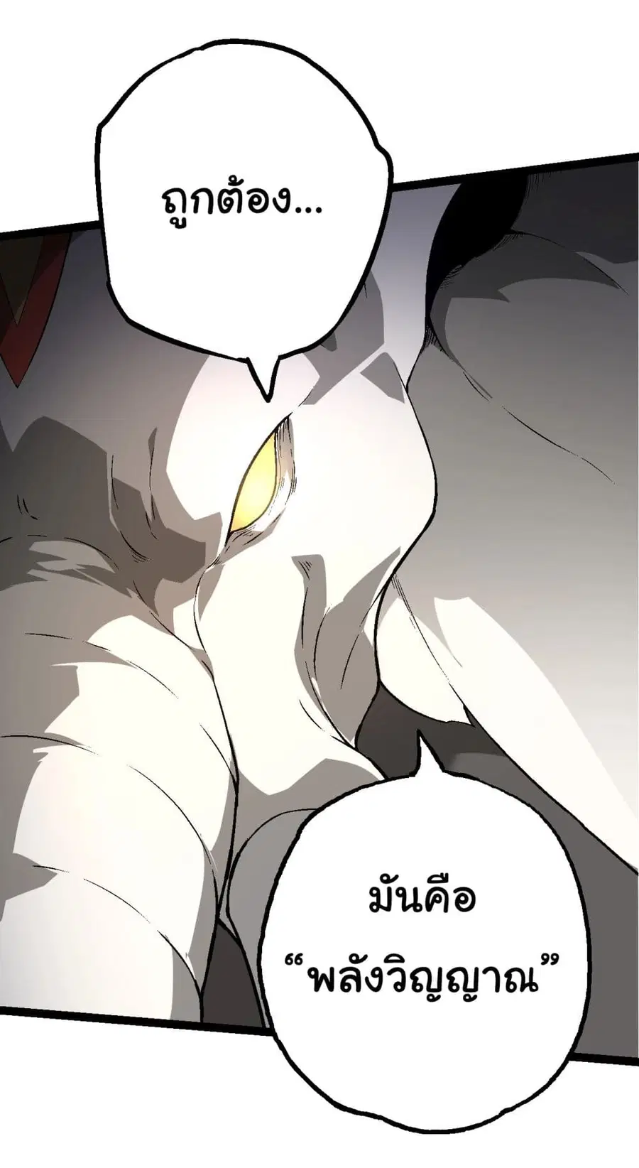 หน้า 24 จาก 53
