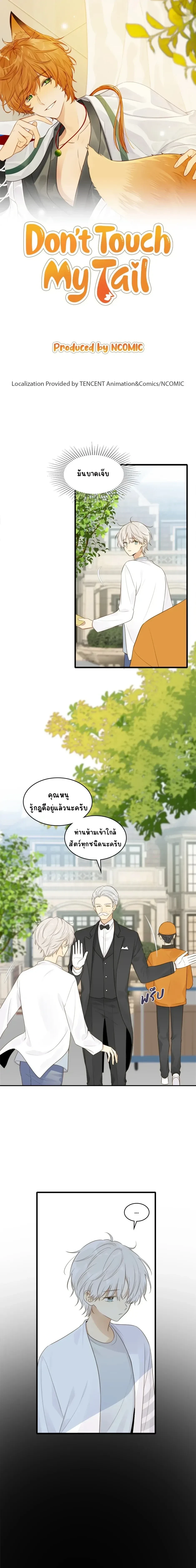 หน้า 1 จาก 11