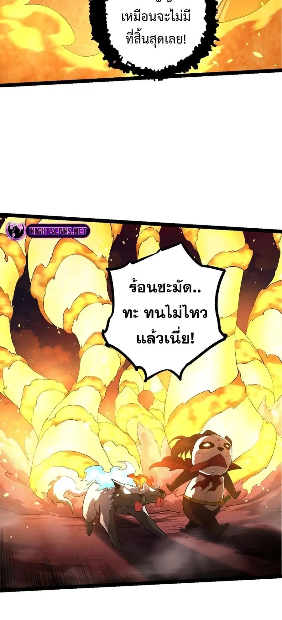 หน้า 42 จาก 52