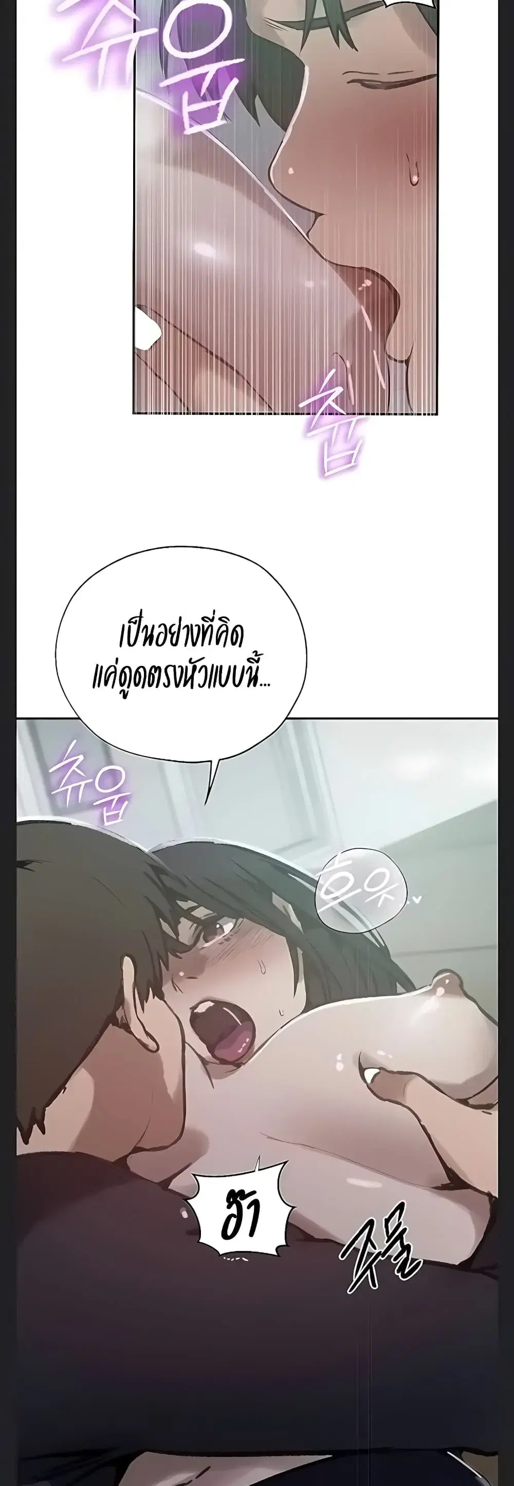 หน้า 14 จาก 40