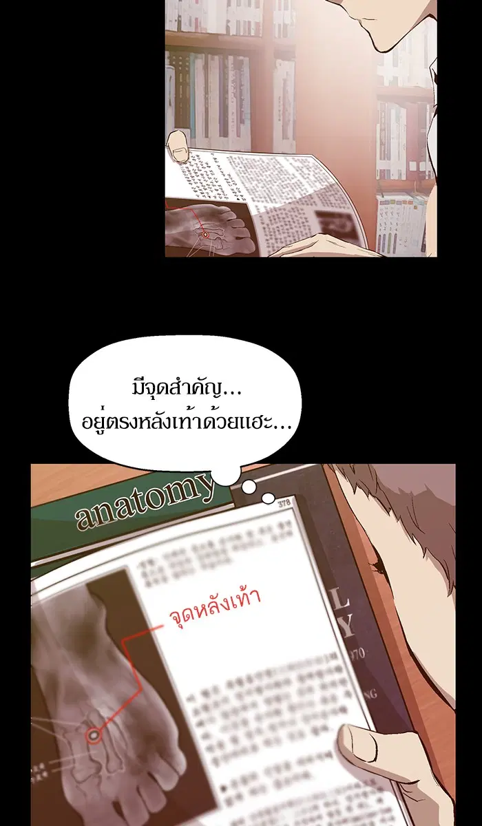 หน้า 5 จาก 99
